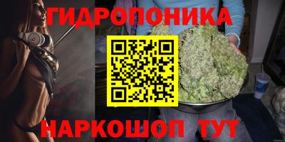 apvp Дубна
