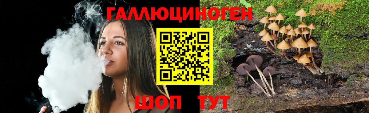 Галлюциногенные грибы Psilocybe Мирный