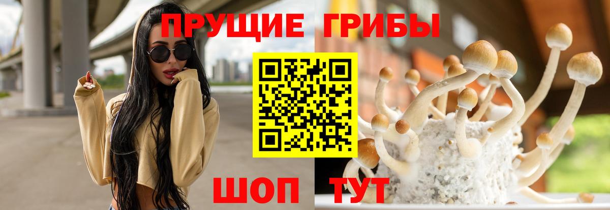 Мирный  Галлюциногенные грибы мицелий  Вход с VPN 